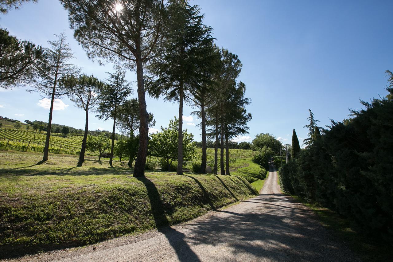 Tenuta San Filippo Montalcino Exterior photo